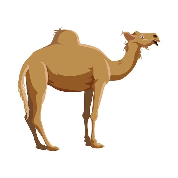 Vector camel icon in cartoon style on a white background