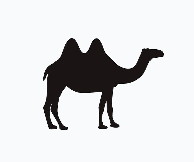 Верблюд Значок Силуэт Фондового Вектора Двугорбый Двугорбый Верблюд Значок Двугорбый Верблюд Арабский Верблюд Бактрия