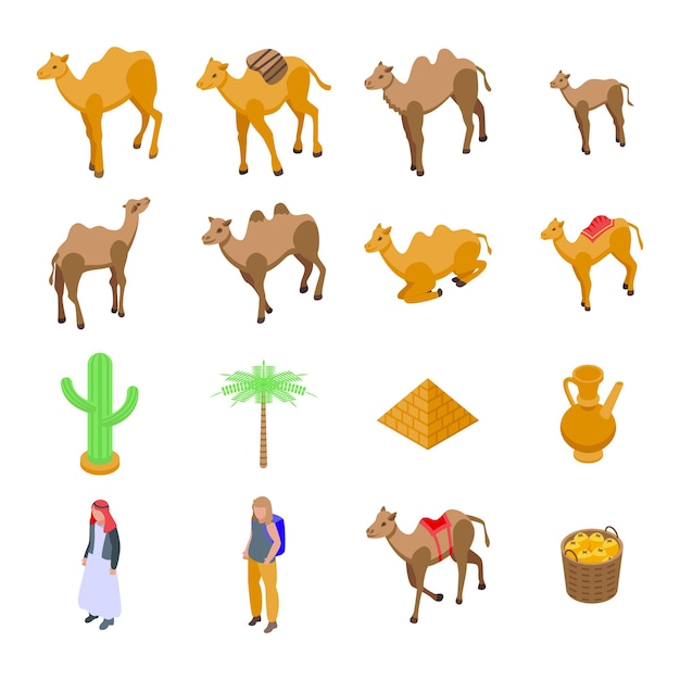 Camel icons set. Isometric set of camel vector icons for web design isolated on white background