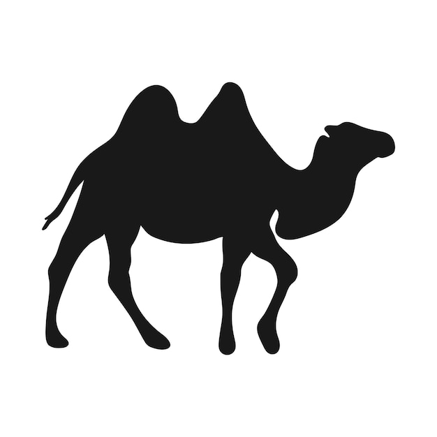 Premium Vector | Camel isolated icon on a white background