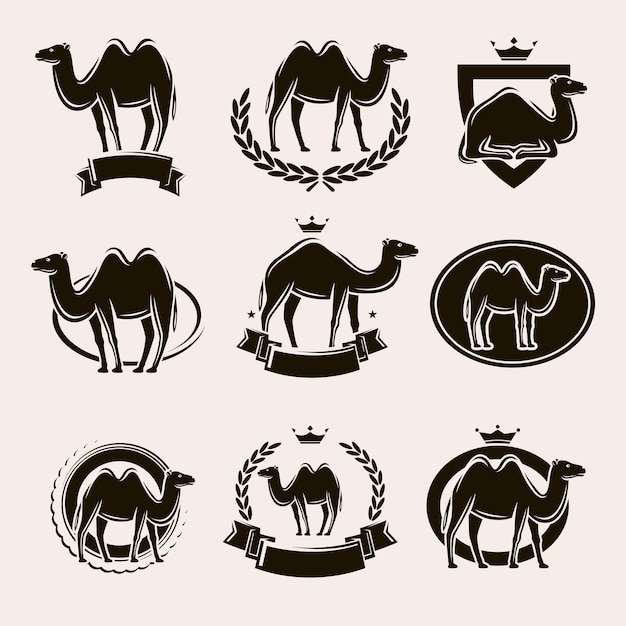 Camel label and icons set Vector