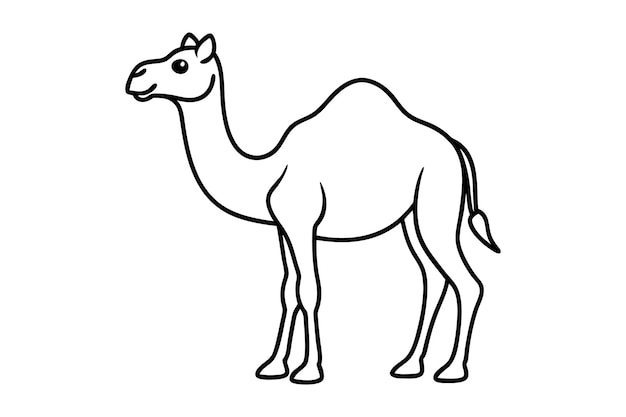 Camel line art vector silhouet
