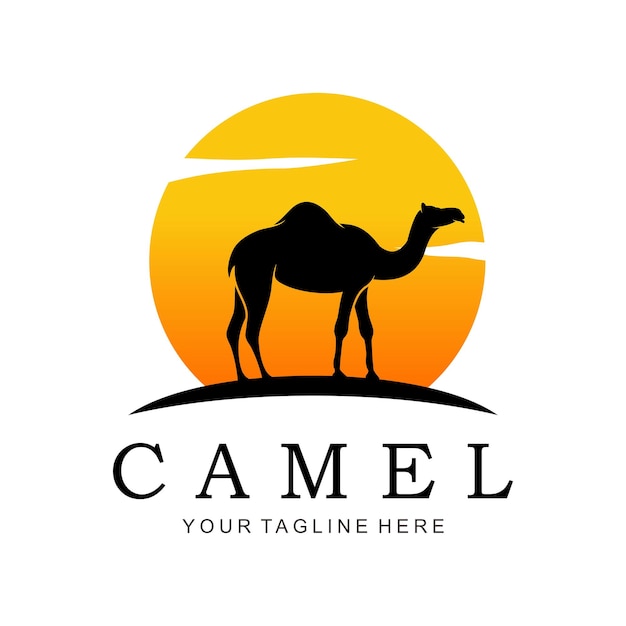 Vector camel logo in the desert sunset vector