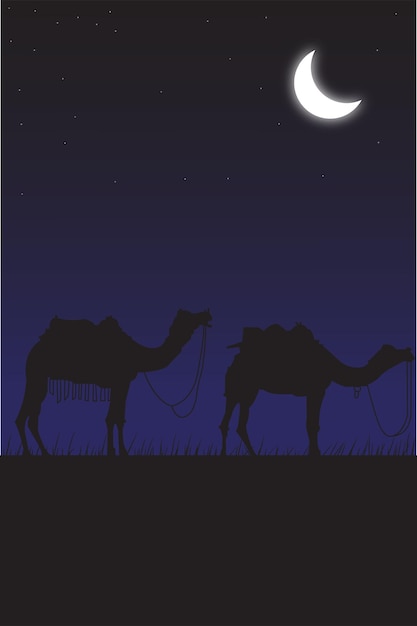 Vector camel at night