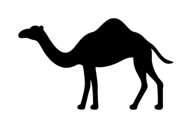 camel silhouette desert animal silhouette vector illustration camel outline wildlife clipart