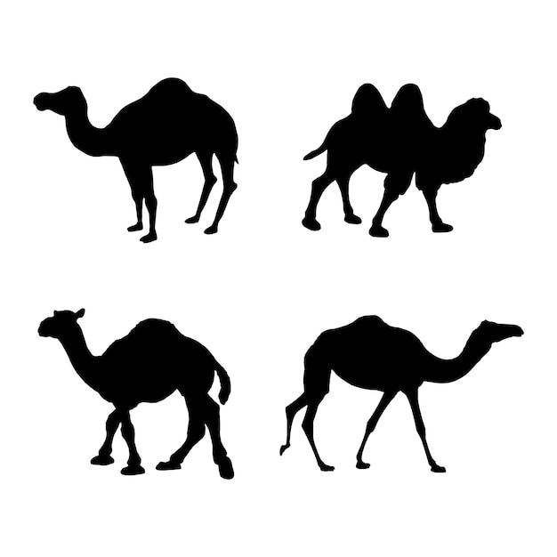 낙타, 실루엣, 세트, 수집, 고립된, 검정, 백색 위에서, 배경, 벡터, 삽화