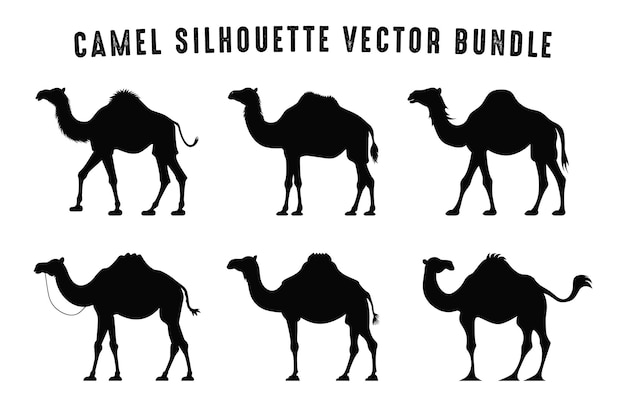 Camel Silhouette Vector Bundle Camels Silhouettes zwarte Clipart Set