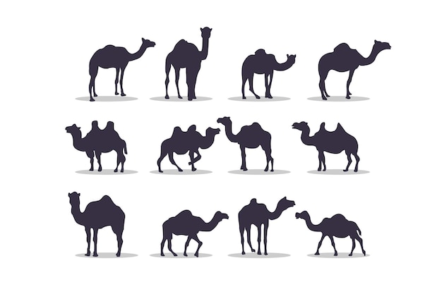 Верблюд силуэт векторные иллюстрации дизайн