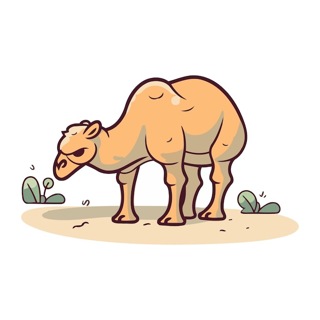 Camel standing on the sand Vector illustration in cartoon style