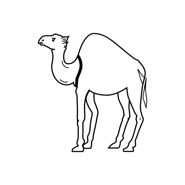 Camel Vector Design