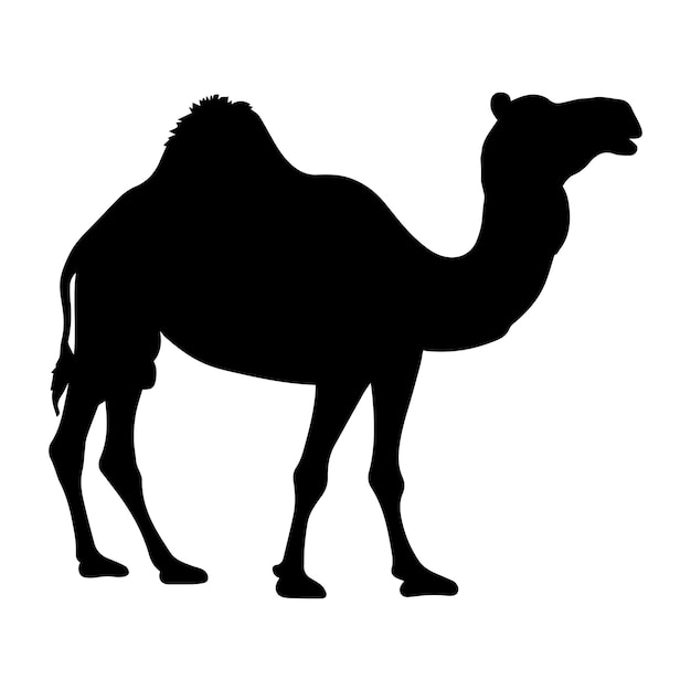 Vector a camel vector silhouette