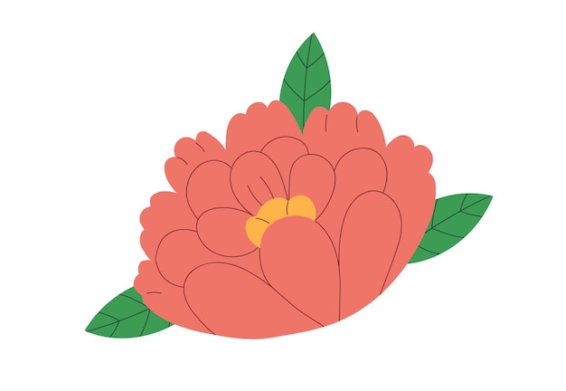 카멜리아 꽃 꽃은 부드러운 섬세하고 울창한 잎자루를 가진 화려한 꽃입니다. 식물성 자연 디자인 요소 정원 꽃  장식 색 바탕에 고립 된 평평한 터 일러스트레이션.