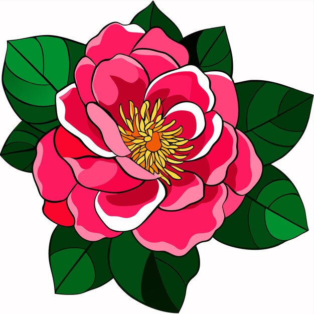 Vettore fiore di camelia o fiore di rosa