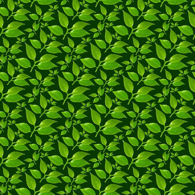 Vector camellia leaf & branch on the green background seamless pattern design