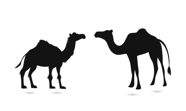 Camels isolated vector Silhouette