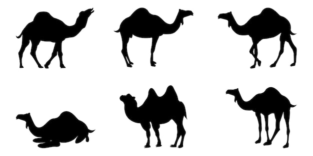 Camels vector silhouette set