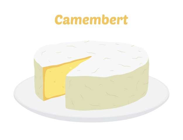 Vettore formaggio camembert sul piatto