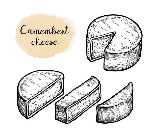 Camembert cheese set Hand drawn ink illustrations