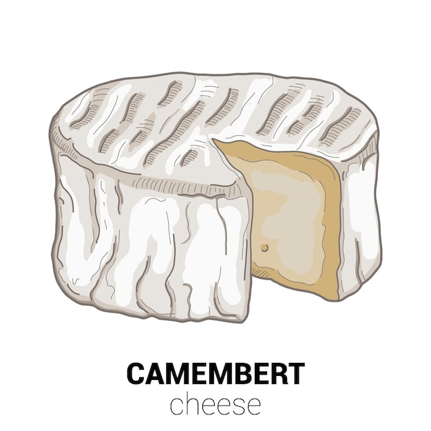 Camembert Koe Kaas Kleurrijke Vectorillustratie