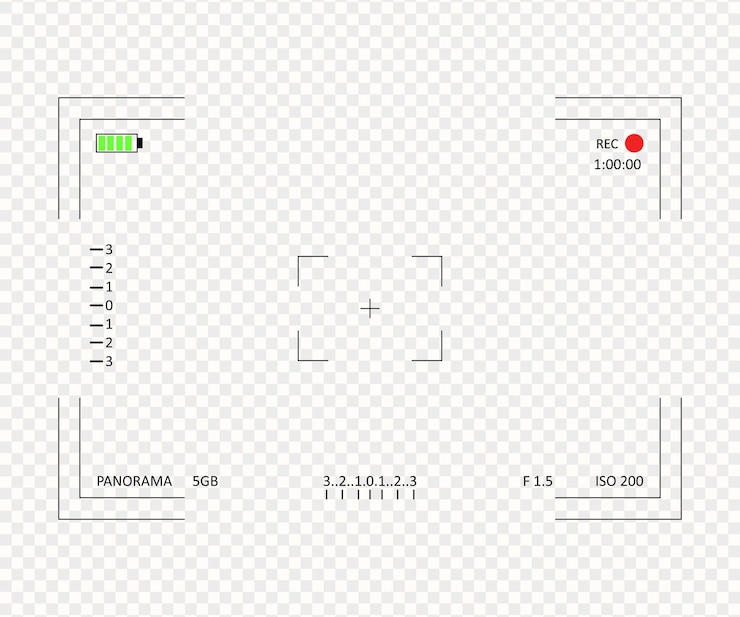 Vector camera viewfinder with recording indicator and settings