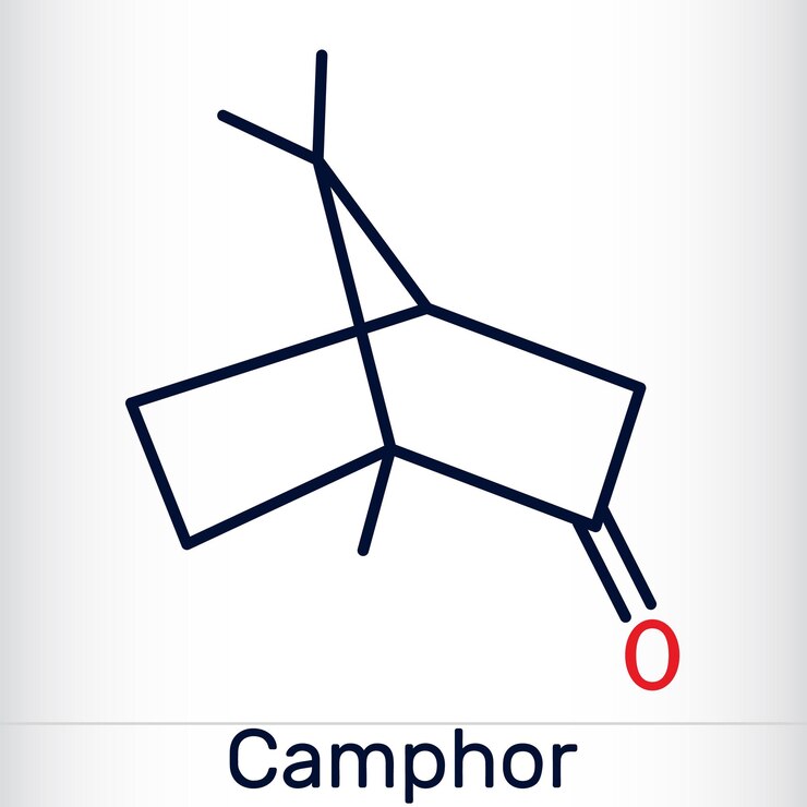 Vector camphor molecule it is terpenoid and a cyclic ketone structural chemical formula molecule model