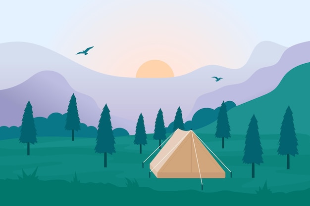 Camping area landscape