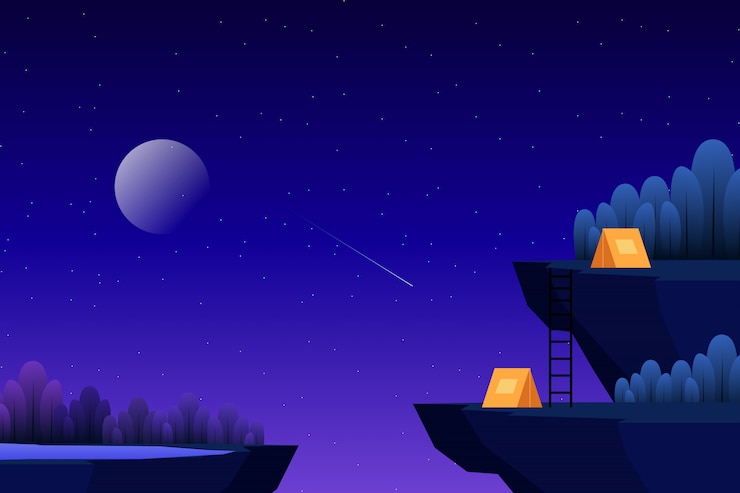 Vector camping on hight peak with starry night forest illustration