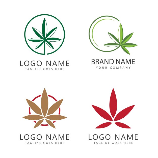 Canabis leaf logo vector illustration design