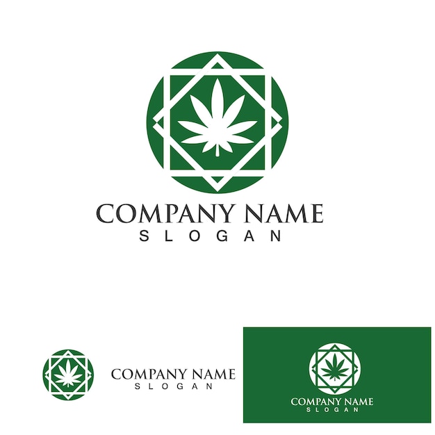 Canabis leaf logo vector illustration icon