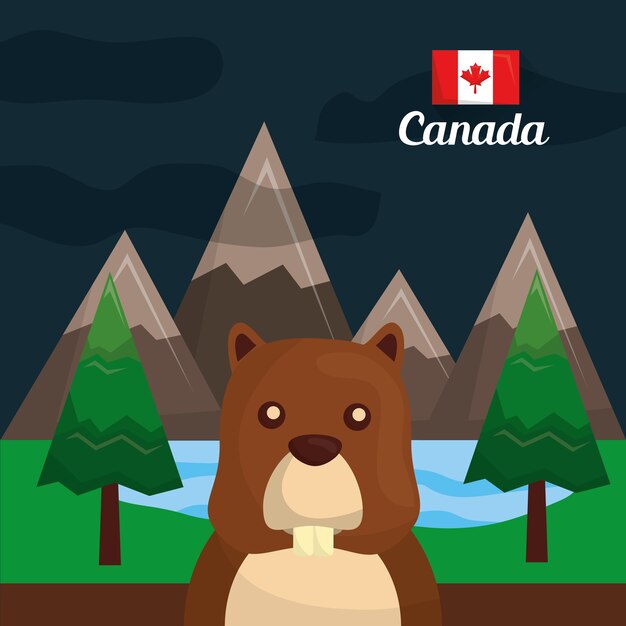 Vector canada beaver rodent in the forest mountains