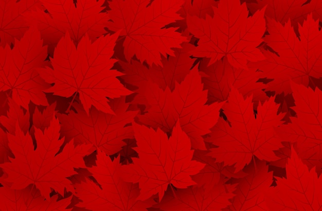 Vector canada day background of red maple leaves