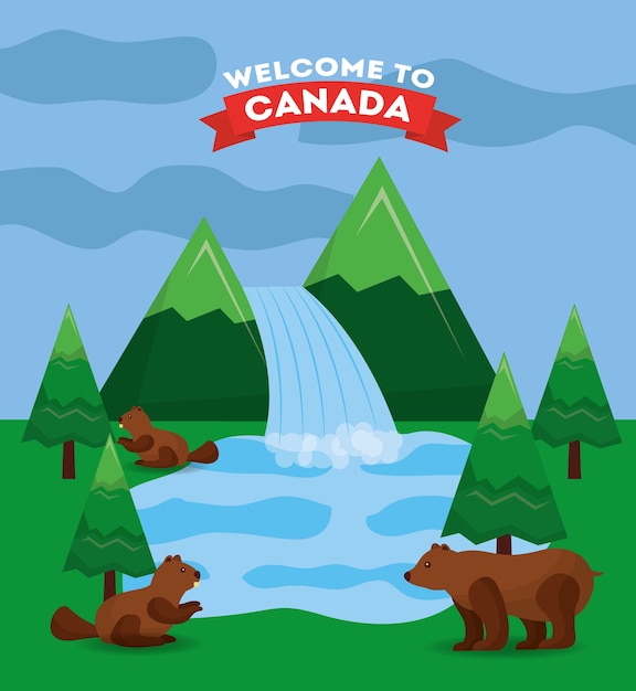 カナダの森林の滝湖のクマとビーバー