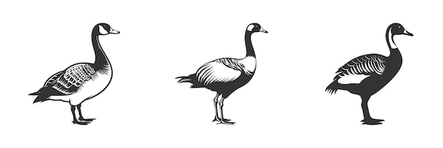 Силуэт канадского гуся Черно-белая векторная иллюстрация