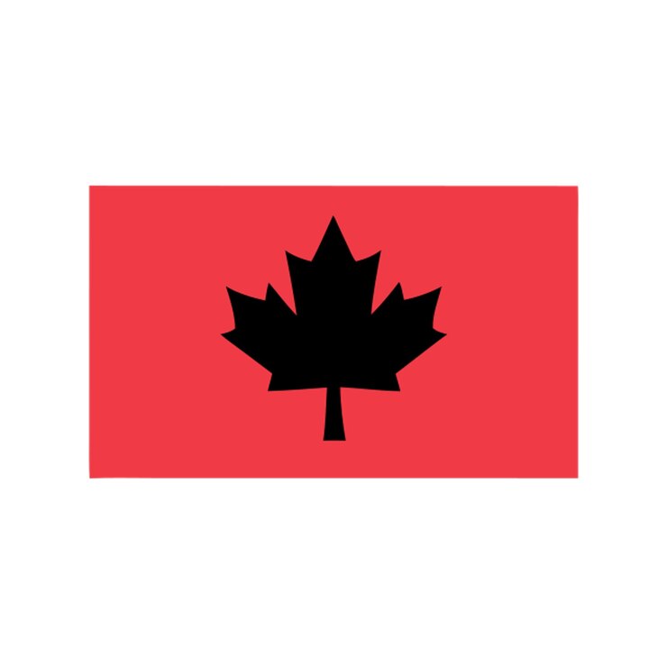 Vector canada icon