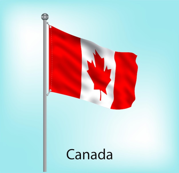 Canada waving flag on flagpole vector