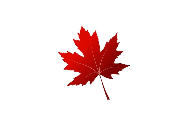 Canadese maple leaf witte achtergrond