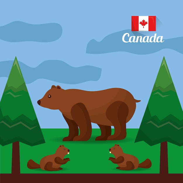 canadian bear beavers in the forest natural 