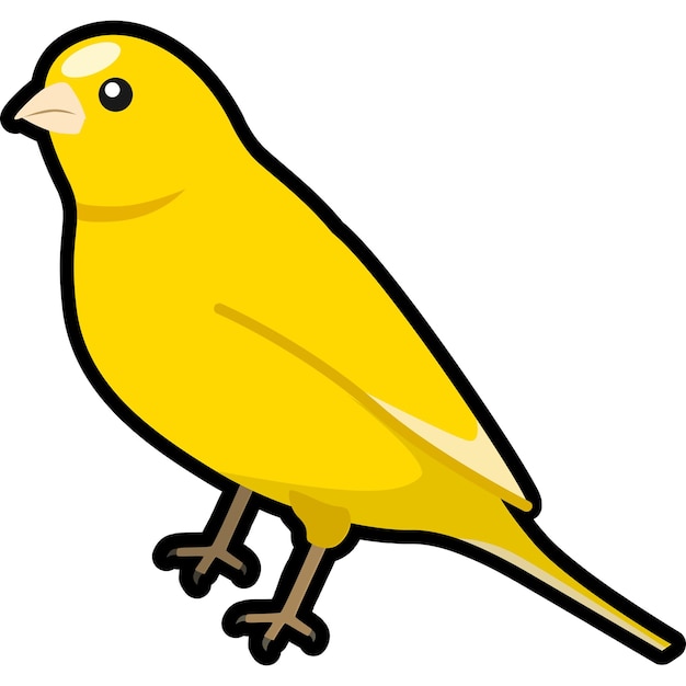 canary evolution