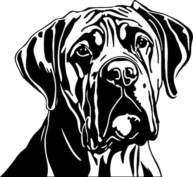 Cane Corso dog face isolated on a white background SVG Vector Illustration