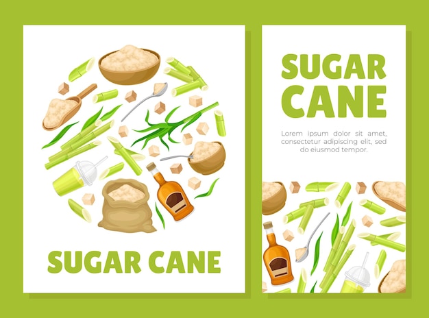 Cane sugar natural product banner design vector template