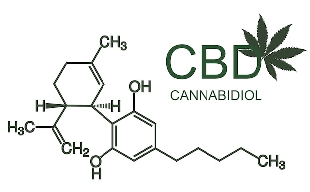 Молекула каннабидиола каннабиса cbd обладает антипсихотическим эффектом химическая формула плакат медицинской осведомленности векторная иллюстрация