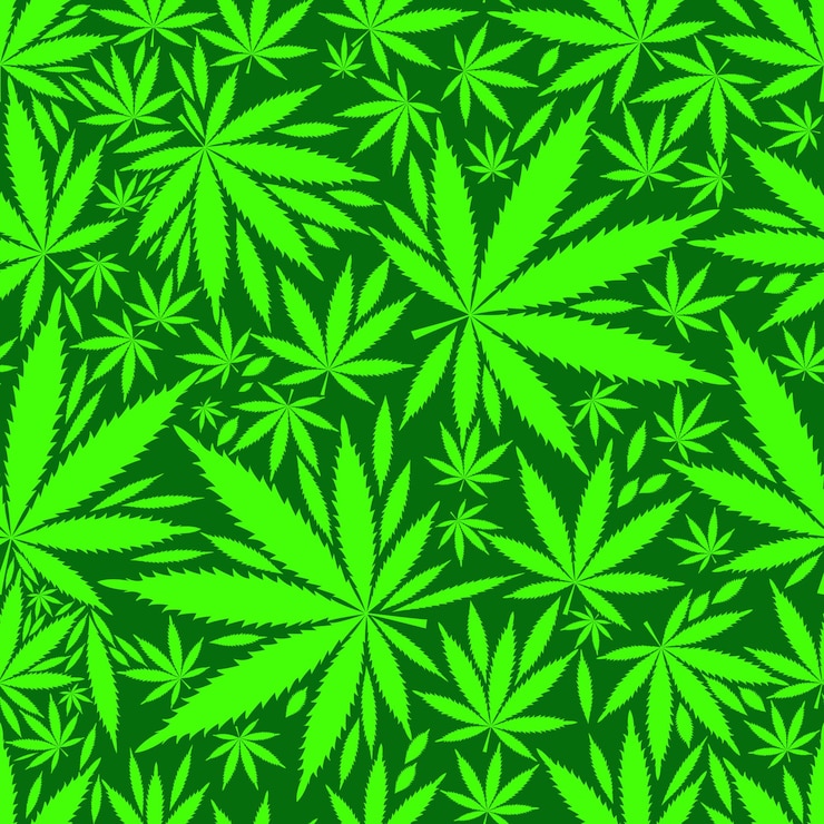 Vector cannabis blad naadloze patroon achtergrond vectorillustratie