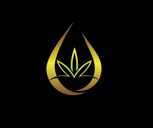 Vettore disegno del logo della goccia d'acqua di cannabis cbd