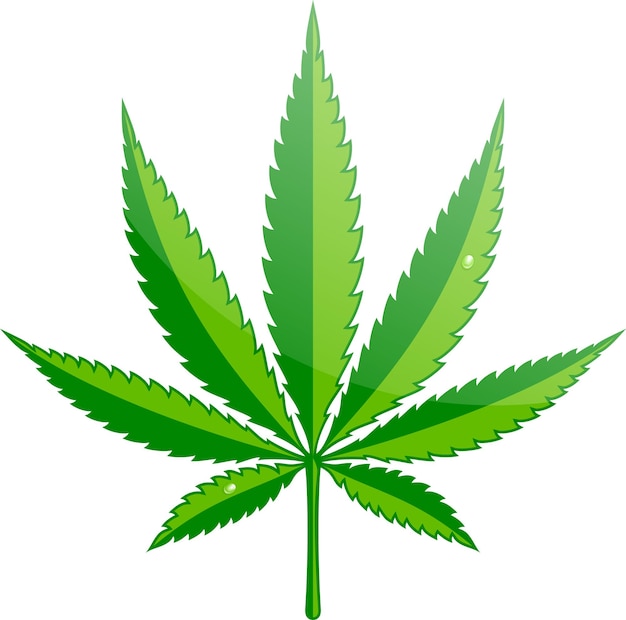 Cannabis hemp leaf flat icon