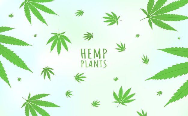 Cannabis hennepplanten horizontale achtergrondpatroon met marihuana hennepplant groene bladeren