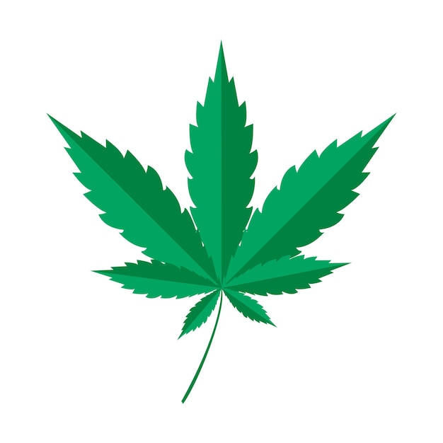Vettore illustrazione della cannabis. marijuana. marijuana medica o cannabis. stile piatto