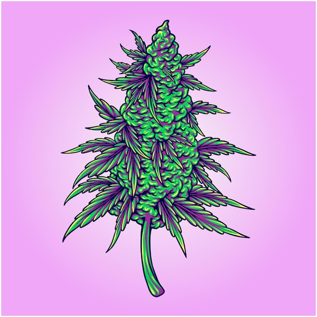 Вектор cannabis indica ботанический бутон цветка красоты