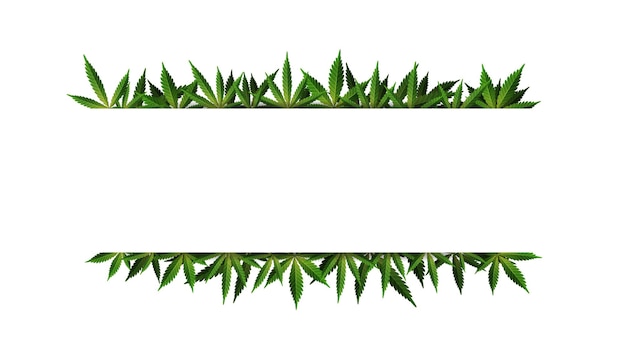 Vector cannabis leaf frame template