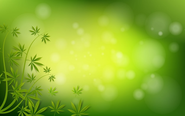 Vector cannabis leaf green  drug marijuana herb background