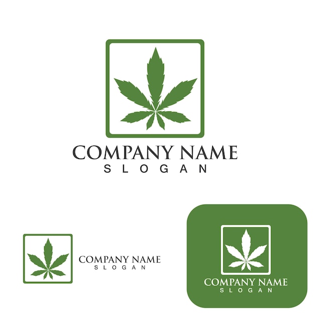 Cannabis leaf health nature logo vector